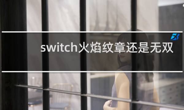 switch火焰纹章还是无双