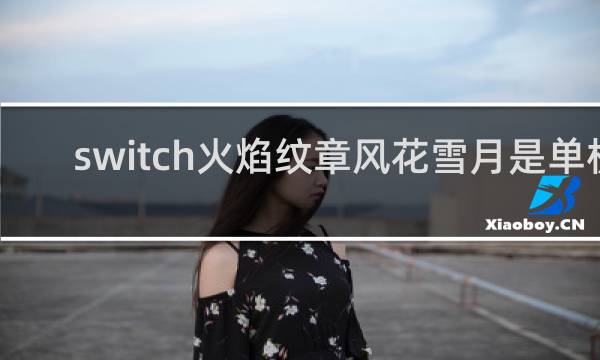 switch火焰纹章风花雪月是单机