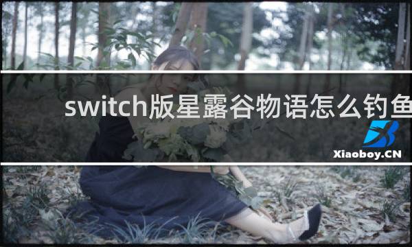 switch版星露谷物语怎么钓鱼