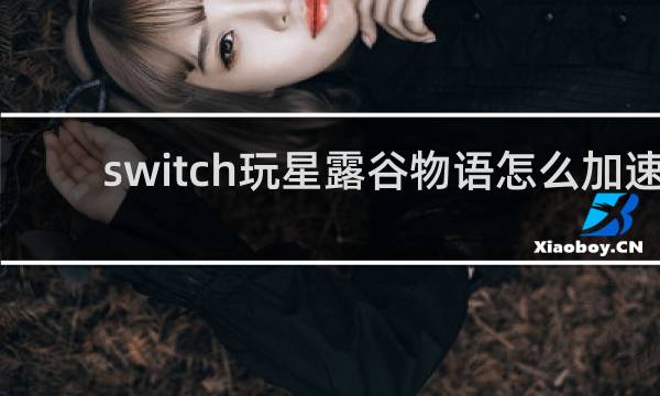 switch玩星露谷物语怎么加速