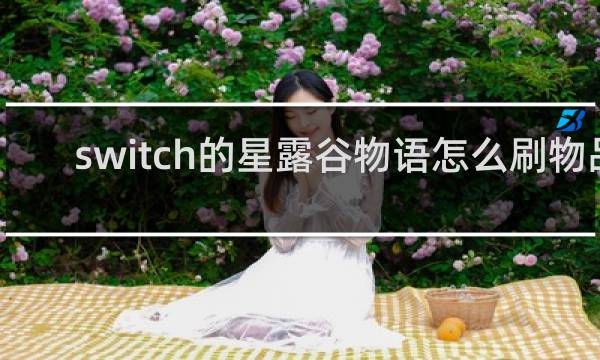 switch的星露谷物语怎么刷物品