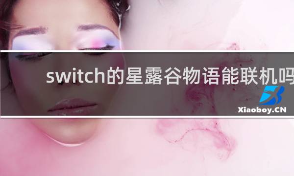 switch的星露谷物语能联机吗
