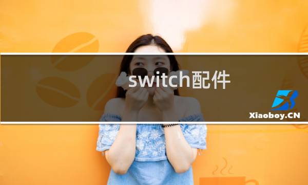 switch配件 攻略