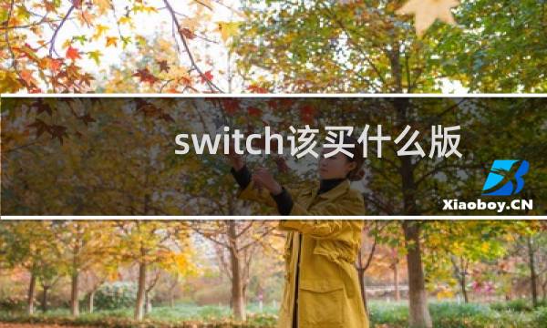 switch该买什么版本图片