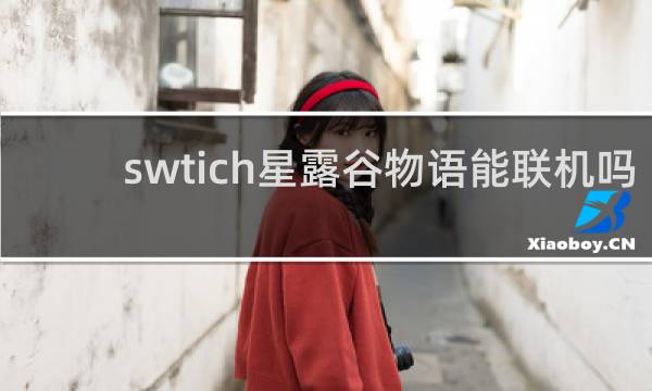 swtich星露谷物语能联机吗
