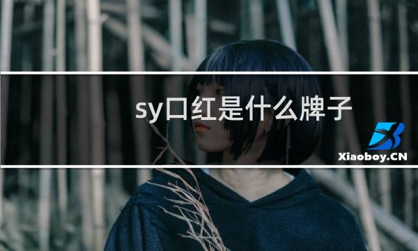 sy口红是什么牌子