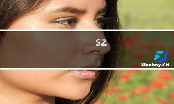 sz-ydkj.cn域名备案通过无法帮定主机