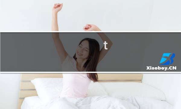 t 106邮票价格