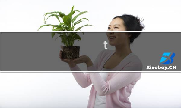 t 164邮票价格