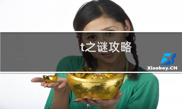 t之谜攻略