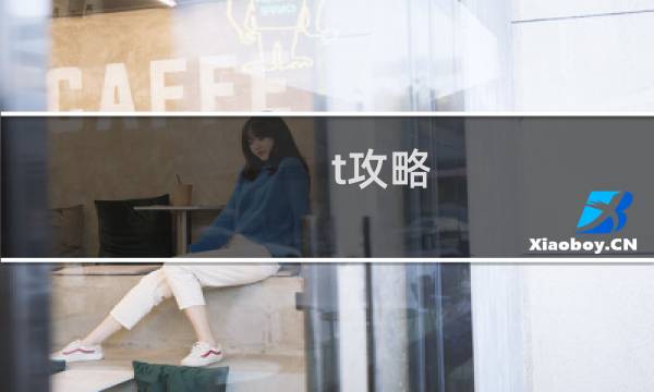 t攻略