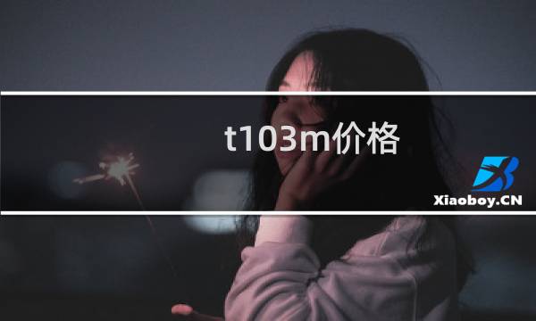 t103m价格