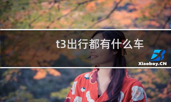 t3出行都有什么车
