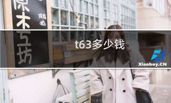 t63多少钱