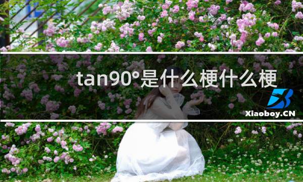 tan90°是什么梗什么梗