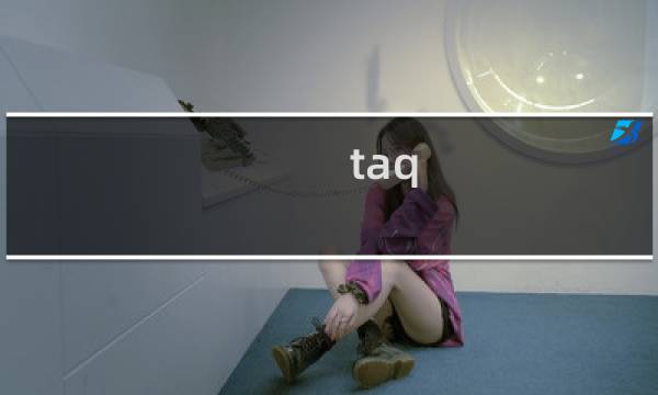 taq 攻略