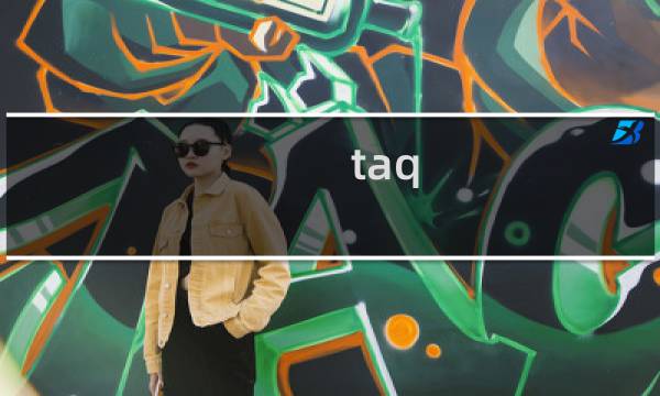 taq 详细攻略