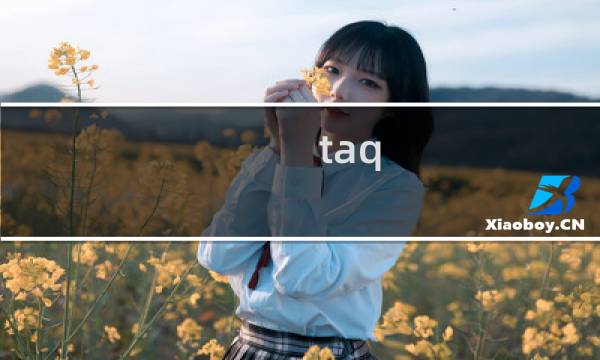 taq boss 攻略