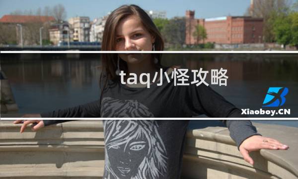 taq小怪攻略