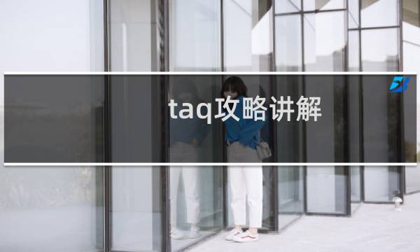 taq攻略讲解