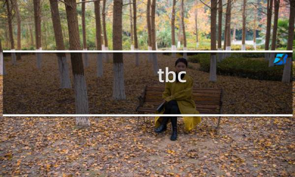 tbc 攻略