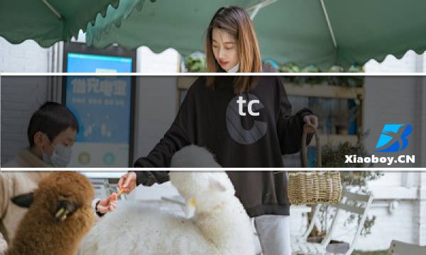tc 票通 攻略