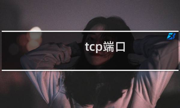 tcp端口