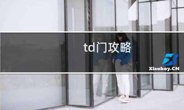 td门攻略