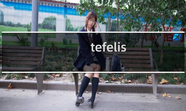 tefelis.gotoftp2.com主机无法访问到页面内