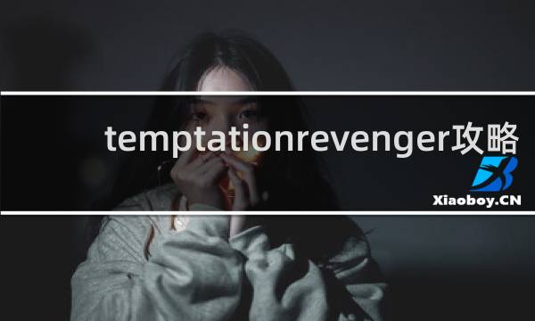 temptationrevenger攻略