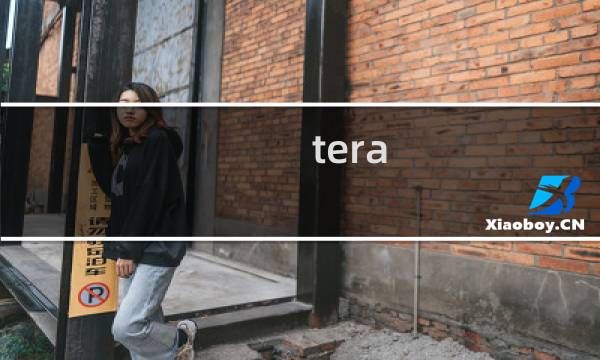 tera 强化攻略