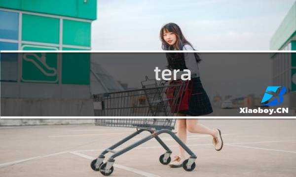 tera 魔导攻略