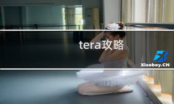 tera攻略