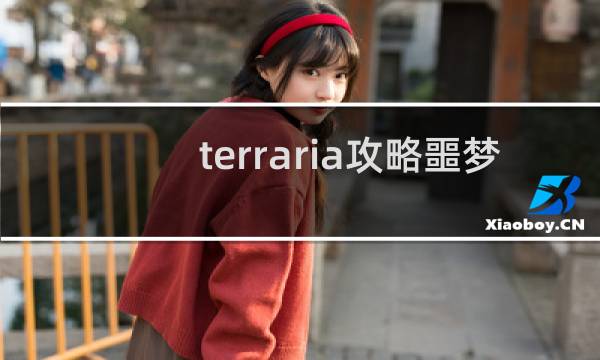 terraria攻略噩梦