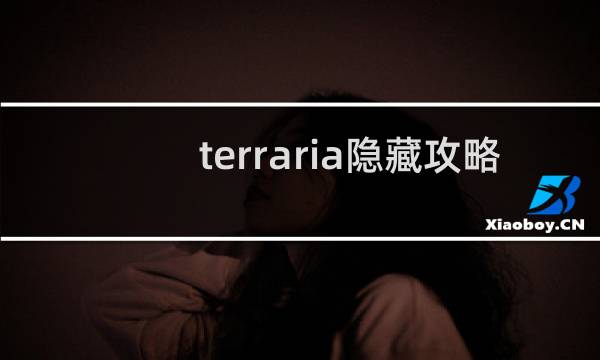 terraria隐藏攻略