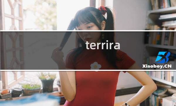 terrira 攻略