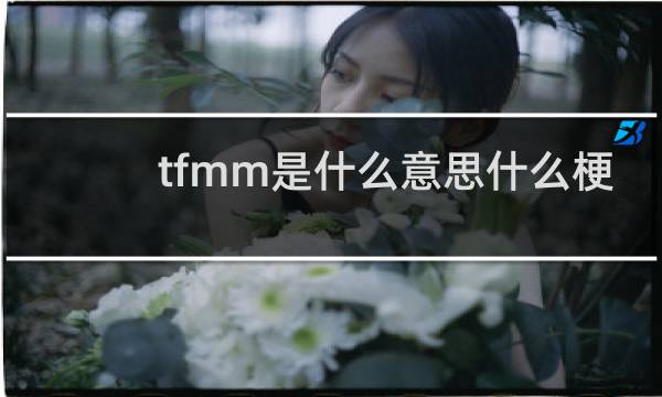 tfmm是什么意思什么梗