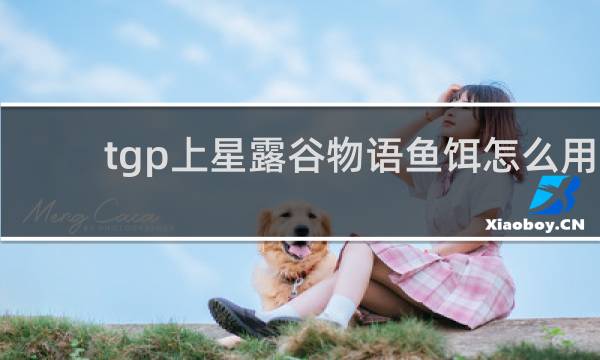 tgp上星露谷物语鱼饵怎么用