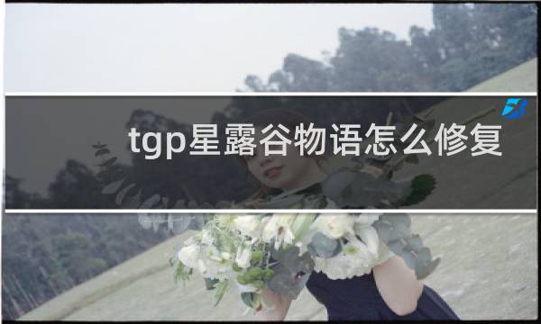 tgp星露谷物语怎么修复