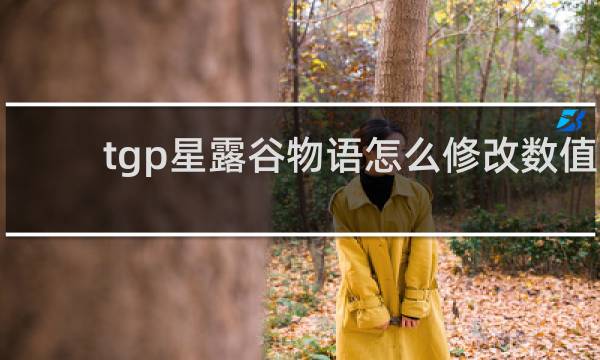 tgp星露谷物语怎么修改数值