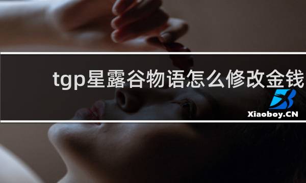 tgp星露谷物语怎么修改金钱