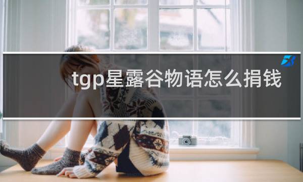 tgp星露谷物语怎么捐钱