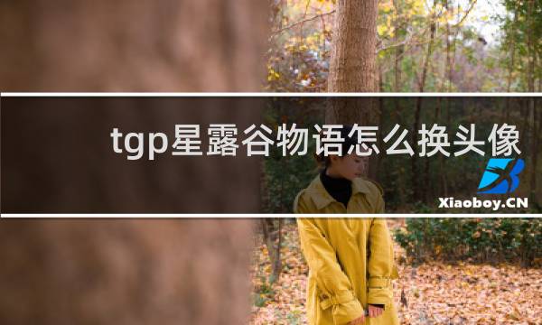 tgp星露谷物语怎么换头像
