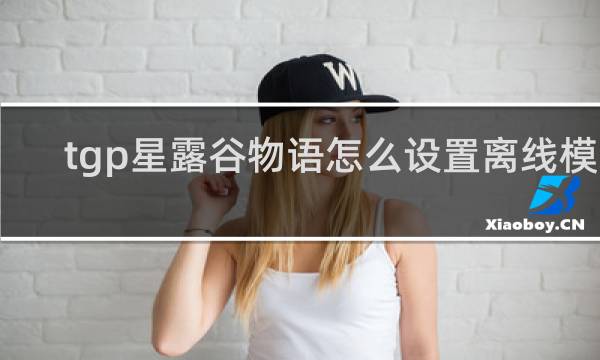 tgp星露谷物语怎么设置离线模式