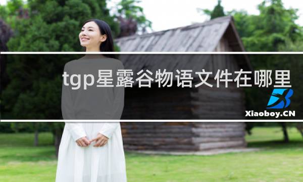 tgp星露谷物语文件在哪里