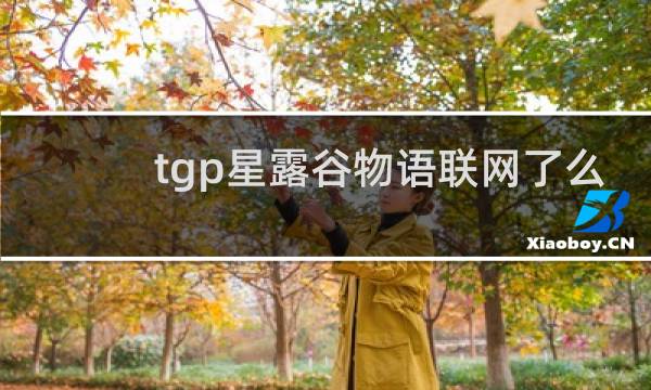 tgp星露谷物语联网了么