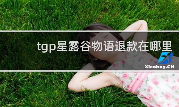 tgp星露谷物语退款在哪里