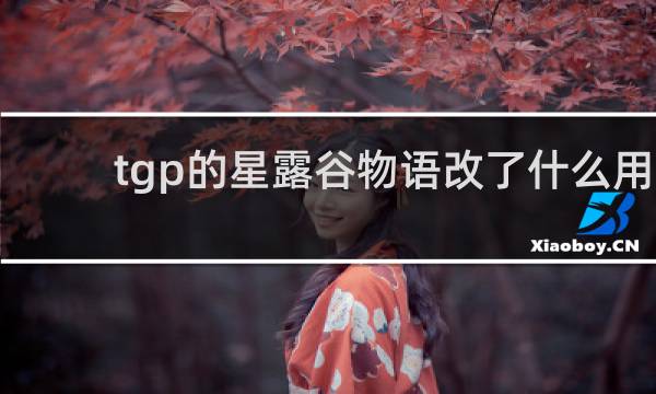 tgp的星露谷物语改了什么用