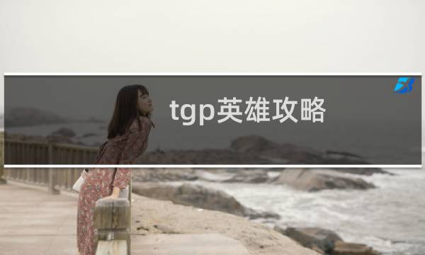 tgp英雄攻略