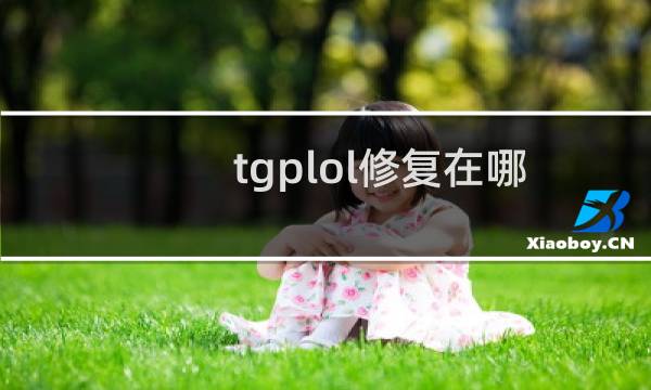 tgplol修复在哪图片